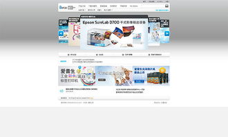 奔唐技術(shù)支持 印刷設(shè)備網(wǎng)站制作與天津網(wǎng)頁(yè)開發(fā)實(shí)踐